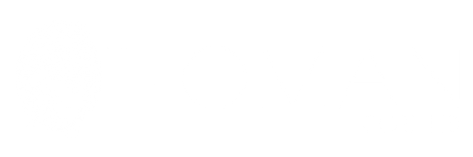 Teoman Corp. Ltd.