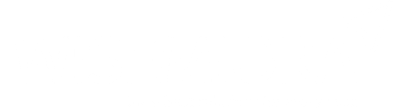 Wisemigra